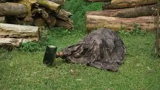 Performance art ( Abrade the  Nature), Performance# Body art# Body Movement# Visual art# performance