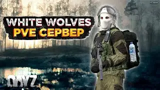 DAYZ PVE | ДЛЯ КОГО ТО СЛОЖНЫЙ | ПРОЕКТ WHITE WOLVES | ИЗУЧАЕМ СЕРВЕР #2