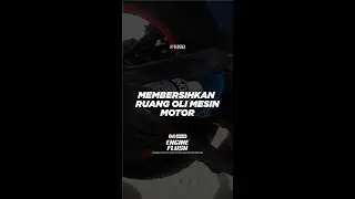 OTOGARD - EVO ENGINE FLUSH