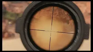 Call Of Duty Black Ops Cold War in 2025 - Domination on Satellite #5 with Grav