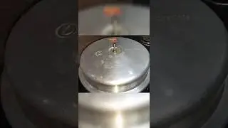 #peascurry  #food #shortvideo #trending #shortsfeed #shorts .