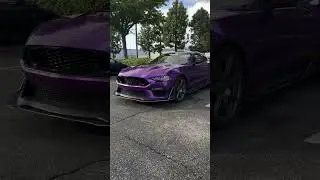 💜 Bold in Purple &ndash; Mustang x Vicrez Vinyl & Mods 🔥