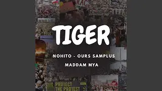 Tiger x Maddam Mya (Nohito-Ours Samplus)