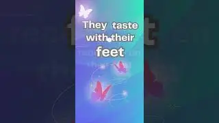 Here r facts that you need to know about butterfly for sure😲😲👌PART 1