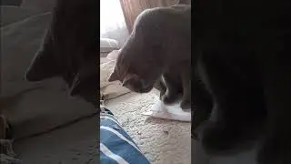 Why is Tom angry? 🤨