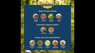 BellyFlush Ingredients EXPOSED 🔍 What&rsquo;s REALLY Inside This Detox Formula