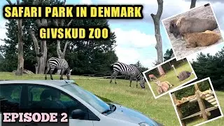 Safari Park | Givskud Zoo | Denmark | Exciting Experience | Must visit places in Denmark | EP 2