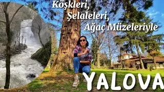 Günübirlik Doğaya Kaçış | Yalova