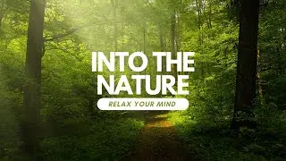 INTO THE NATURE