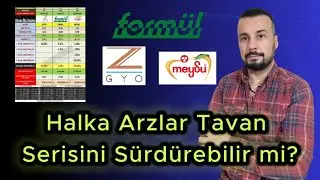 Z GYO, Formül Plastik, Meysu Gıda Halka Arzlarının Değerlendirmesi - Bundan Sonra Ne olur ?