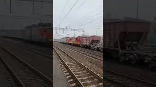 Эксклюзив вл10у-422 с перегонкой чмэ3 , проследует Молосковицы #train #тэп70 #поезд