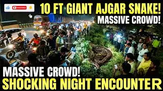 DANGEROUS ENCOUNTER: Massive Ajgar Spotted Near City Traffic, ( Navi Mumbai Highway Par Dikha AJGAR)