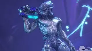 Halo Reach being cursed