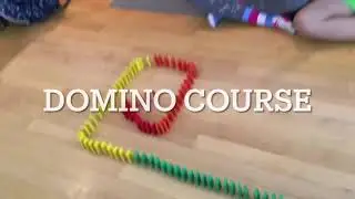 Domino Course
