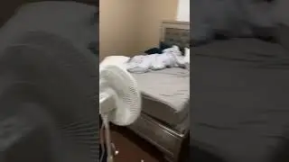 Cleanliness challenge awaits!