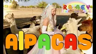 Cute Alpacas | Learning for Kids | Colors with Rainey The Rainbow  Princess Adventures