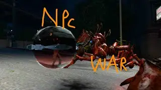 Antlion vs Combine (GMOD NPC BATTLE)