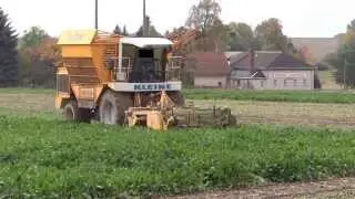 Rübenernte 2013 mit Kleine SF 10