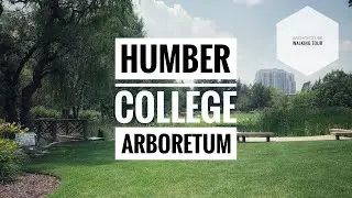 Humber College arboretum walking tour