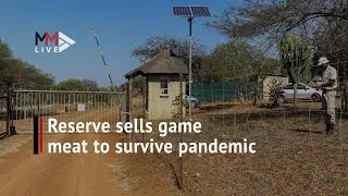 Making ends 'meat': game reserve sells meat from culled animals to soften Covid-19 blow