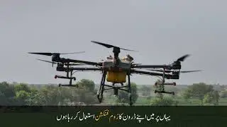 Drone vs. Sugar Cane: High-Tech Farming in South Punjab!