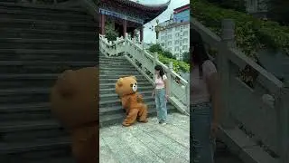 Teddy bear 🧸🐨 #comedy #comedyvideo #comedyshorts #teddy #teddybear # #song #love #trending #shorts