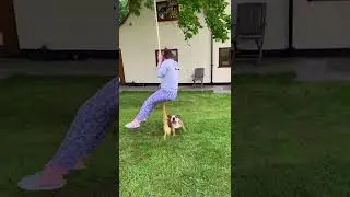Funny Dog Plays on Swing!