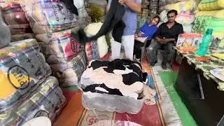 Ladiee wollen plazo || premium article 80 kg parcel || 7206481783 || #surplus #fashion #wholesale 