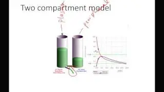 Multi-compartment models