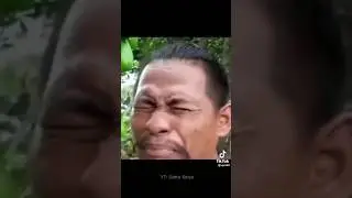 #meme #motw