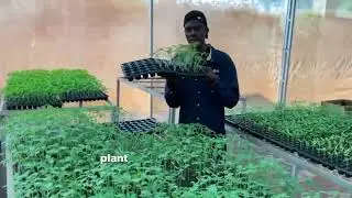 Greenhouses@HowFarmsWork-j6p 