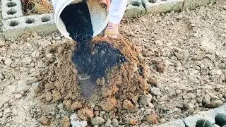 Boost Plant Growth with This Simple 3-Ingredient Soil Recipe