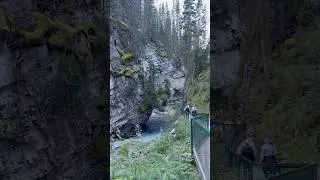 Johnston Canyon Hike #banff #alberta #canada
