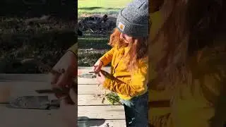 From Soil to Shelf: Making Dandelion Root Tincture with Homestead Herbalist