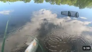 I LOST ACCESS TO THIS FISHING SPOT 😭