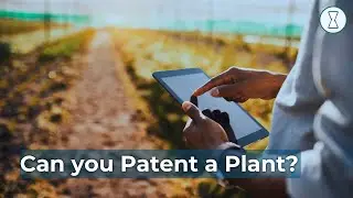 Can you Patent a Plant?