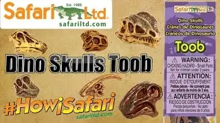 Safari Ltd. || Dino Skulls Toob || #HowiSafari Review