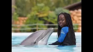 Swimming with Dolphins Emotion Experienc Zoomarine #zoomarineportugal #Videoforkids #dolphins