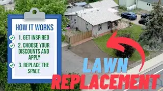 Lawn Replacement Program: How it works