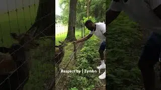 Respect #zymbn #remember #remember #deadmau   #radioedit #remember #radio   #when.