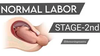 2nd Stage of Labour: Definition, Phases, Signs & Nursing Care | OBG Nursing