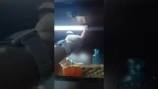 No plug under cabinet lighting| Asoko lighting