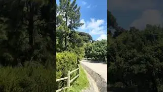 منظر طبيعي من قلب منتزه الرميلات 🌲😍 #طنجة #المغرب #tangier #morocco #جولة_في_طنجة #travel #tanger