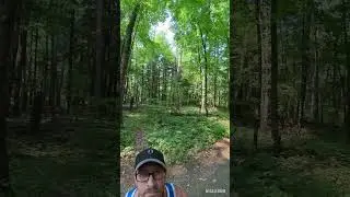 Hiking Hartwick Pines State Park. Old-Growth Forest!
