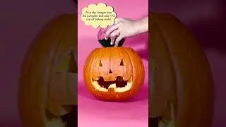 Halloween Science Experiment | Science for Kids | STEM for Kids | Activities for Kids