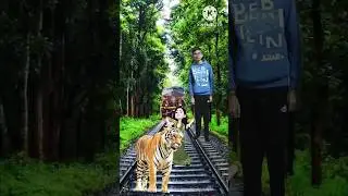 #tiger #train #dance #blast #vfx #viral #funny #3danimation #comedy #trending #vfxind #3dmodeling