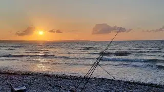 Beach fishing Anglesey North Wales| sea fishing UK| fishing 2024| Wales sea fishing