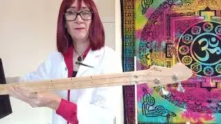 Professor Liesl demonstrates the 2 string bass 🔊  ! 