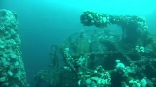 The Wrecks of Bell Island - Rose Castle