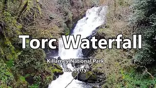 Soaring Over Ireland l Torc Waterfall Walk Trail l Killarney National Park Co. Kerry Ireland 4K